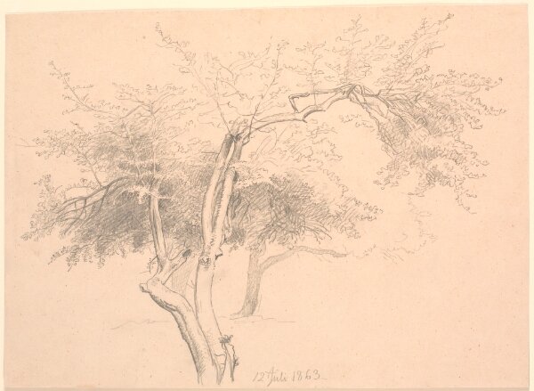 P.C. Skovgaard, Studie af trætoppe.