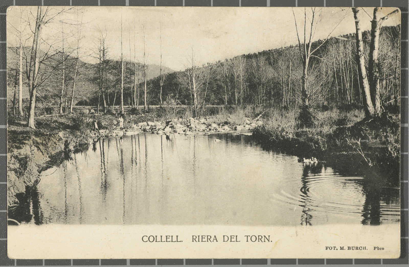 Desconegut, Riera del Torno.