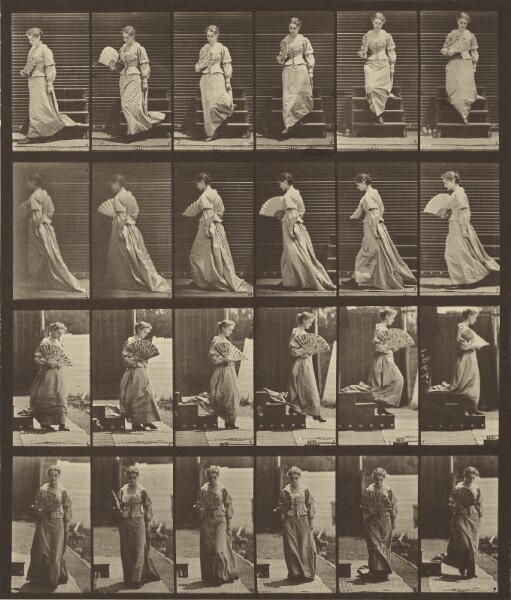 Eadweard J. Muybridge, Animal Locomotion