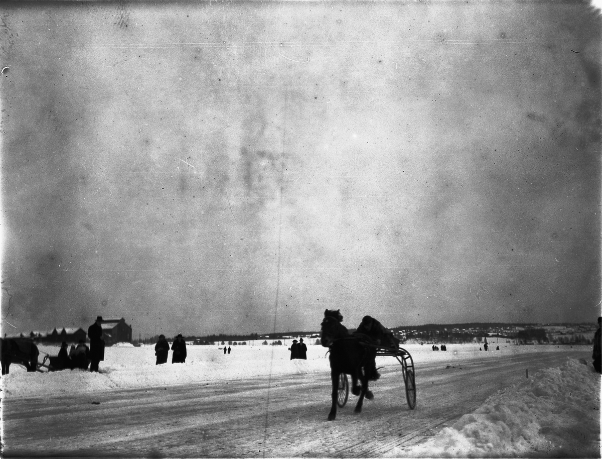 Ragnvald Andersen, Veslemjøsa. Travløp på isen på Mjøsa.