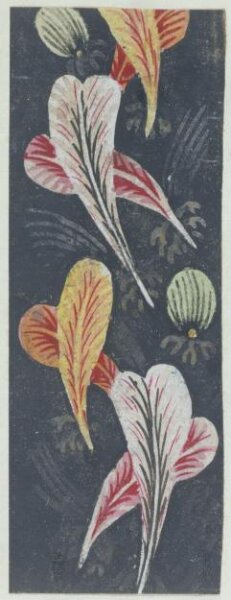 Unknown, Print