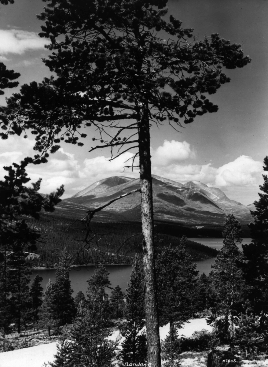 Anders Beer Wilse, Rondane, Landskap