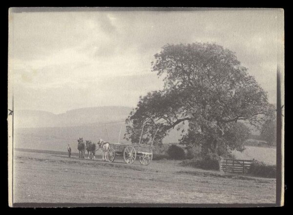 Gale, Lt. Col. Joseph, Landscape