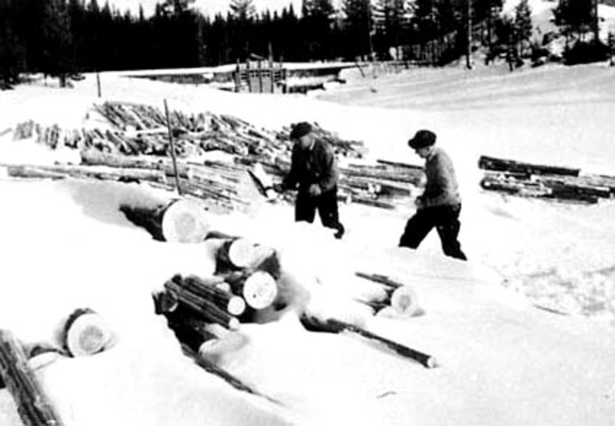 Anno Domkirkeodden, TØMMERTILLEGGING TIL MERKING, GRUPPE: 2 MENN GUSTAV PETTERSEN, KARL LAURITSEN, BJØRNSTADFLØTA, STANGE ALLMENNING