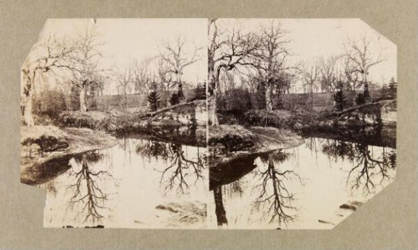 Clementina, Lady Hawarden, Photograph