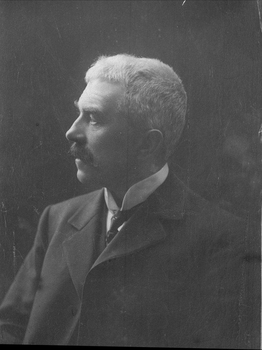Gustav Borgen, NFB.19340