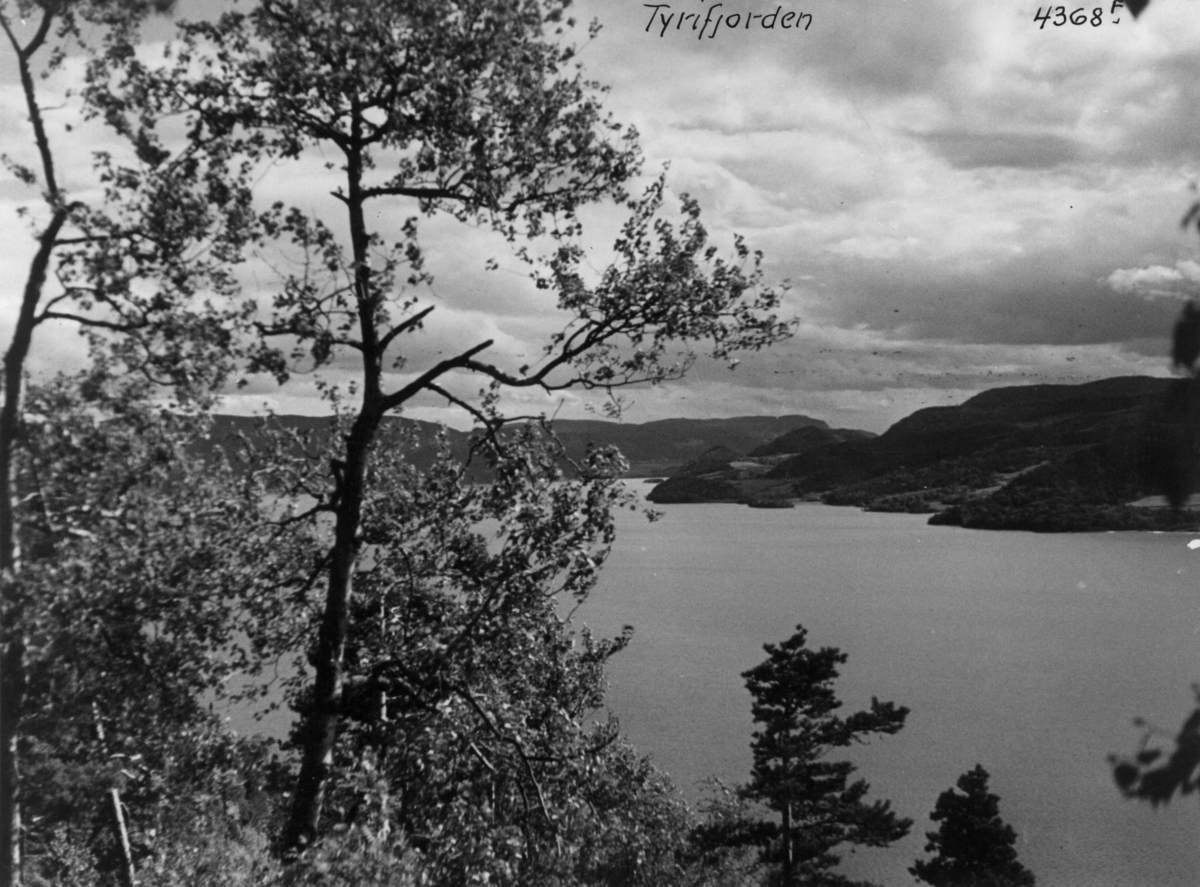 Anders Beer Wilse, Tyrifjorden, Oversiktsbilde