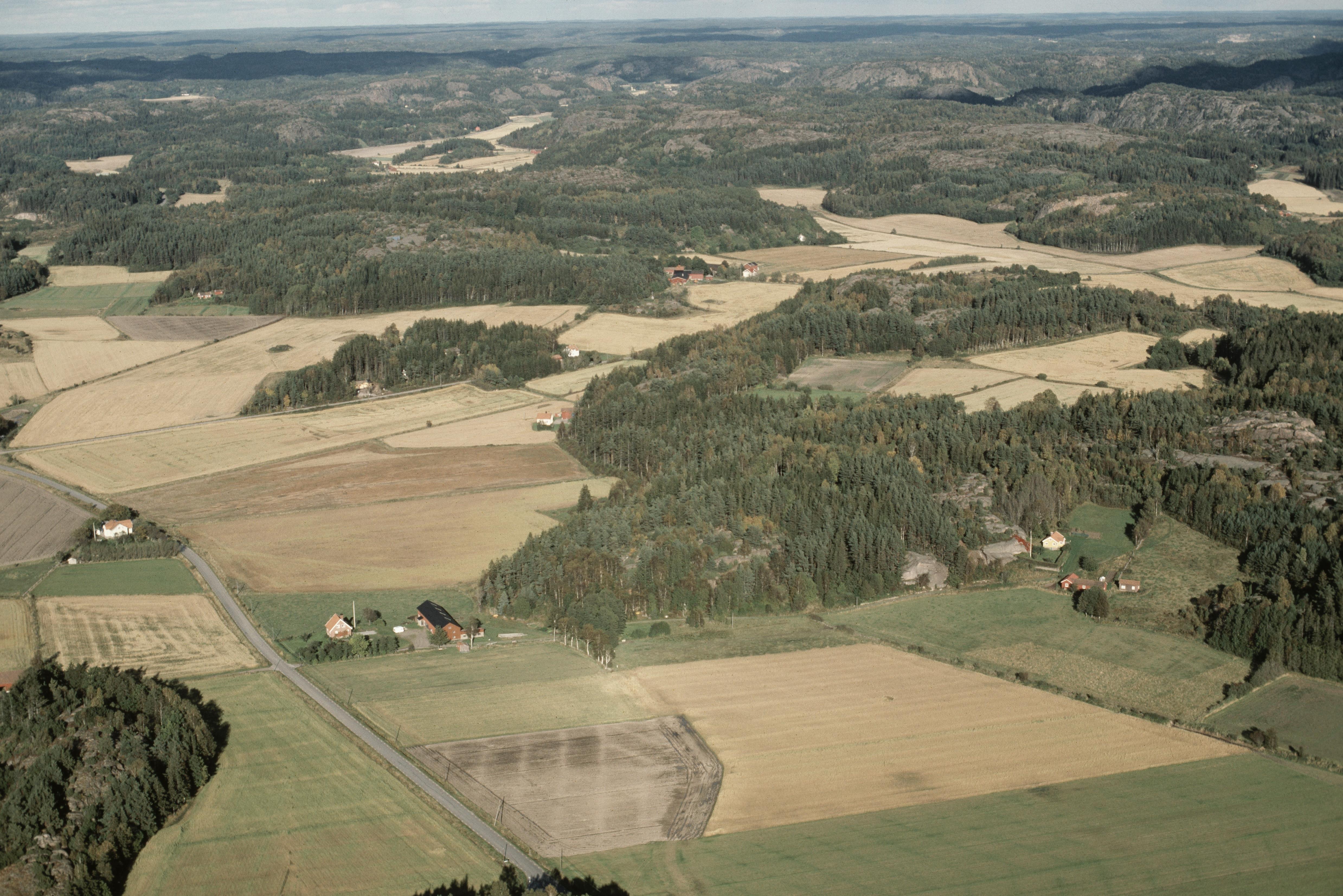 Jan Norrman, Svenneby 33:1
