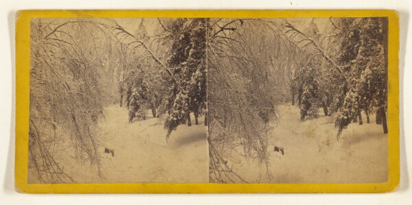 Edward and Henry T. Anthony & Co., Winter in the Catskills. [Ice and snow]