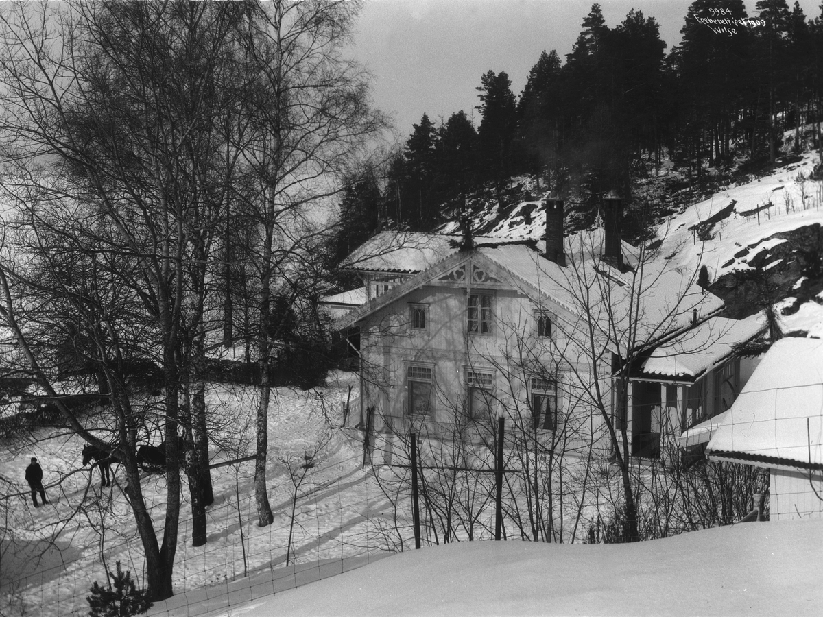 Anders Beer Wilse, Prot: Roald Amundsen - Villa fra Heien 7/3 1909