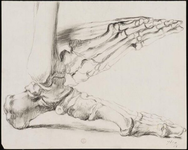 William Etty, Drawing