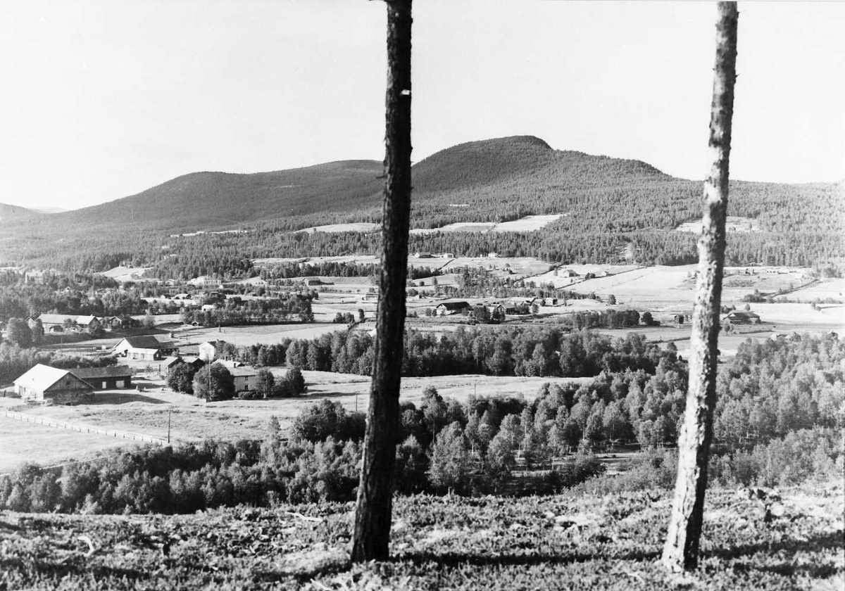 Rachel Haarseth, Gårdsbruk, naturforhold.