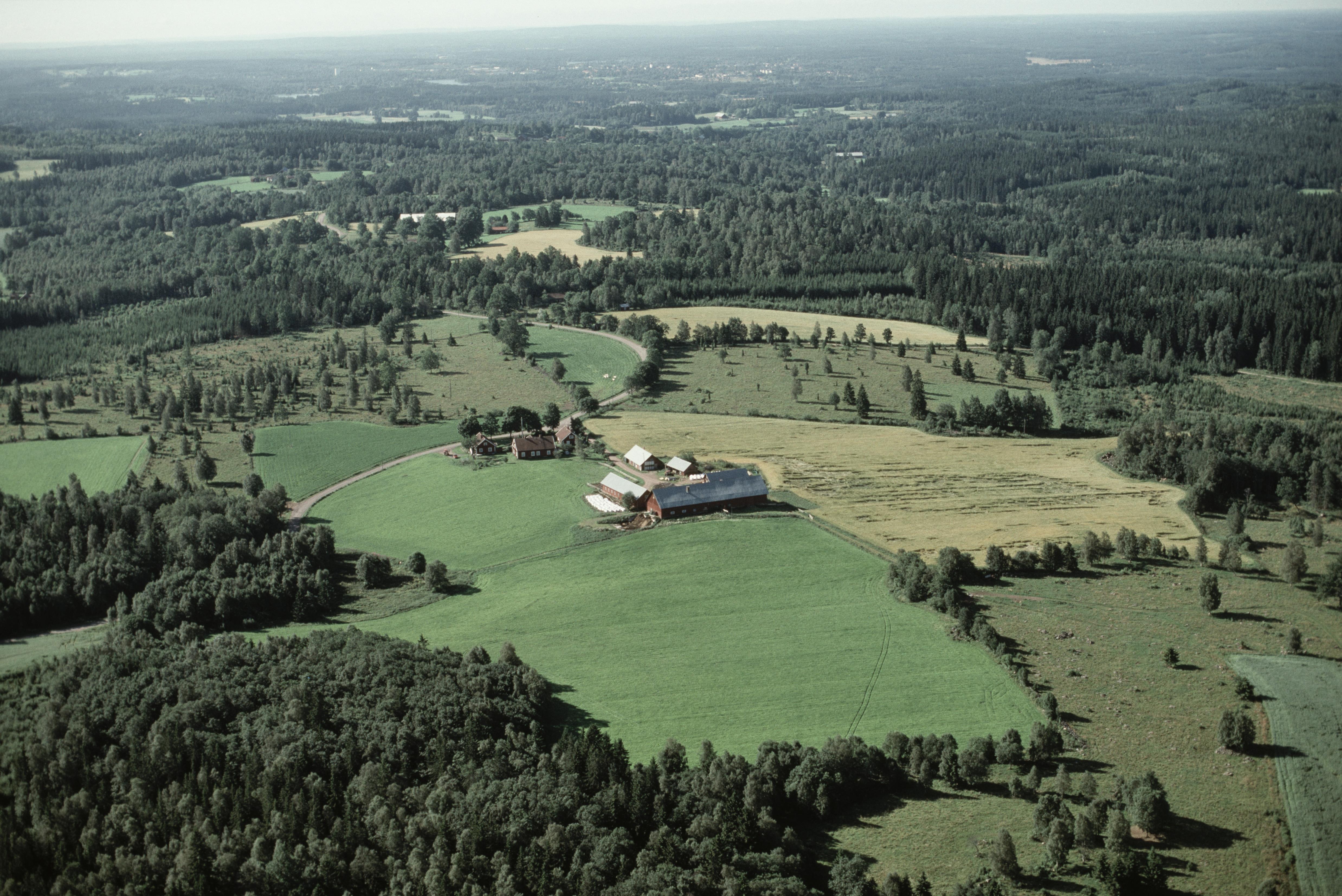 Jan Norrman, Eksjö 86:1