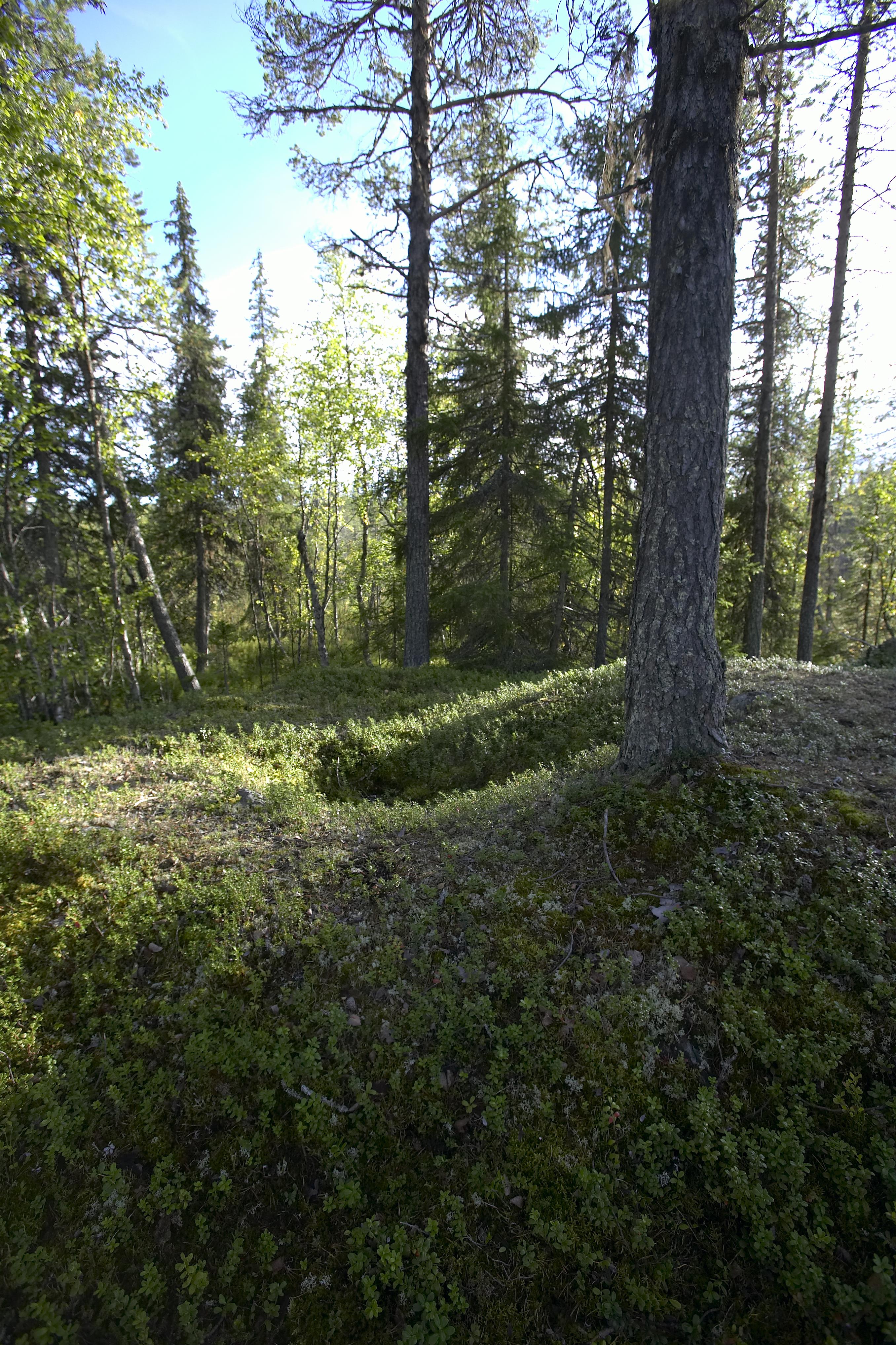 Bengt A Lundberg, Kaltisbäcken