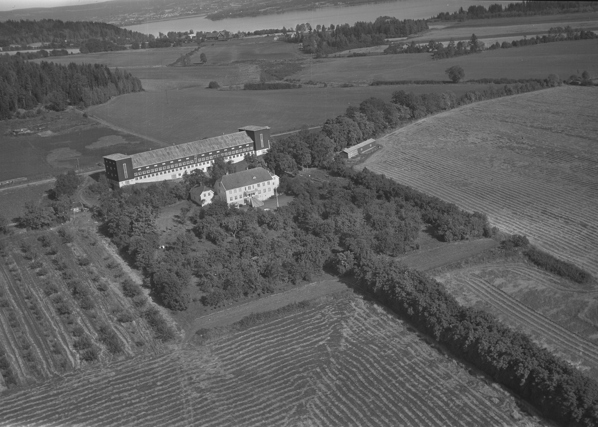 Anno Domkirkeodden, Flyfoto, gardsbruk, Hovelsrud, Helgøya.