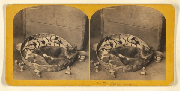 Benjamin West Kilburn, Happy Family.