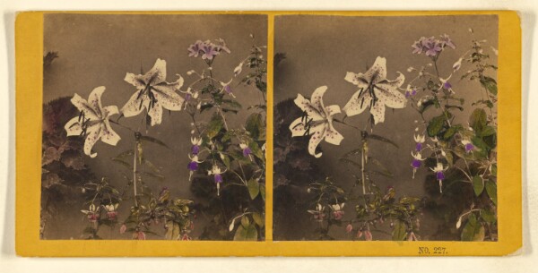 Benjamin West Kilburn, [Group of flowers]