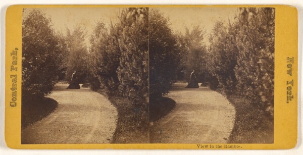 Unknown, View in the Ramble. Central Park, New York.