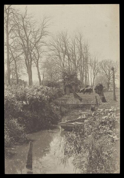 Gale, Lt. Col. Joseph, Stream, Rowing Boat and Cows