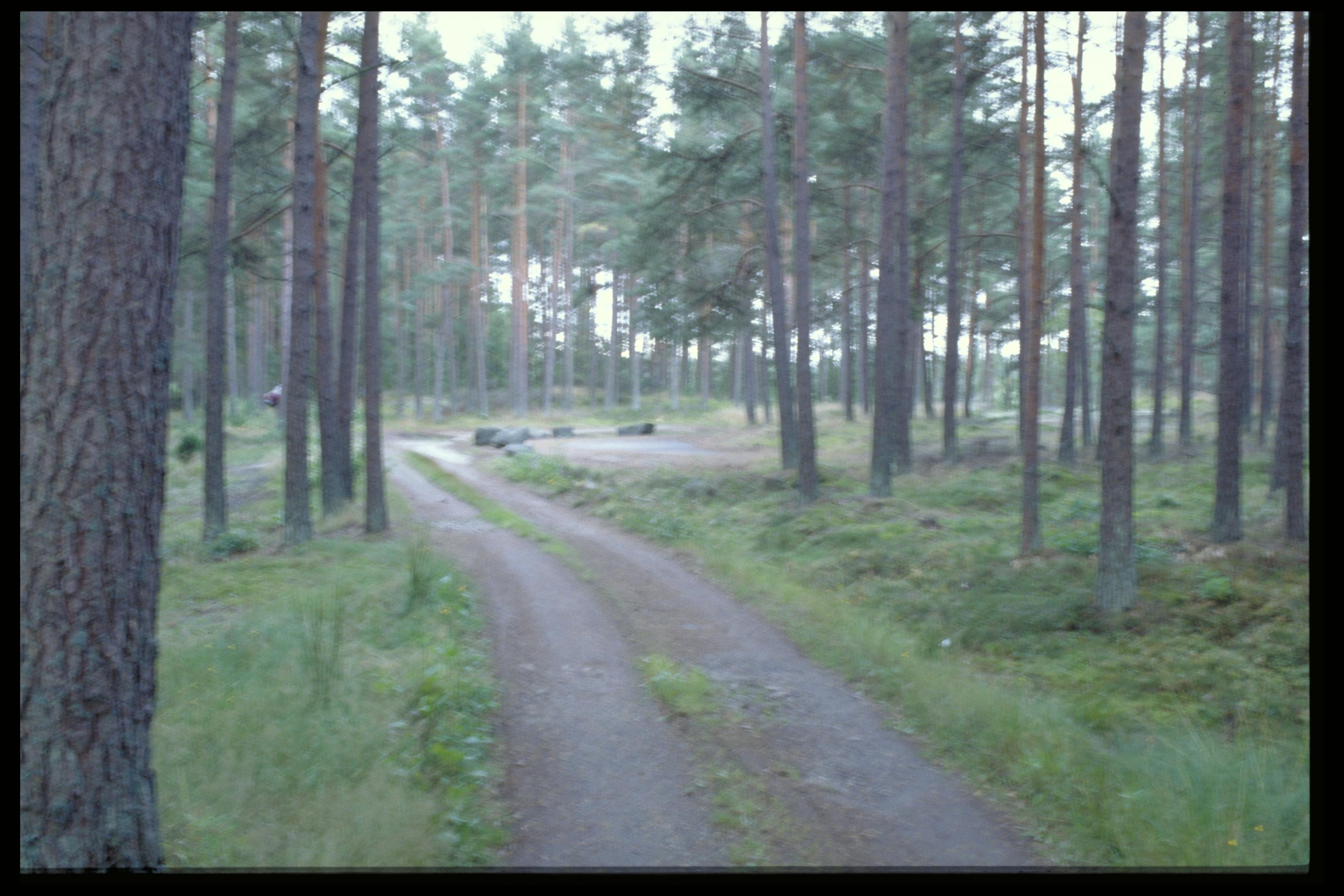 Bengt A Lundberg, Tegneby