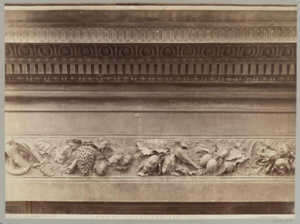Fratelli Alinari, Photograph