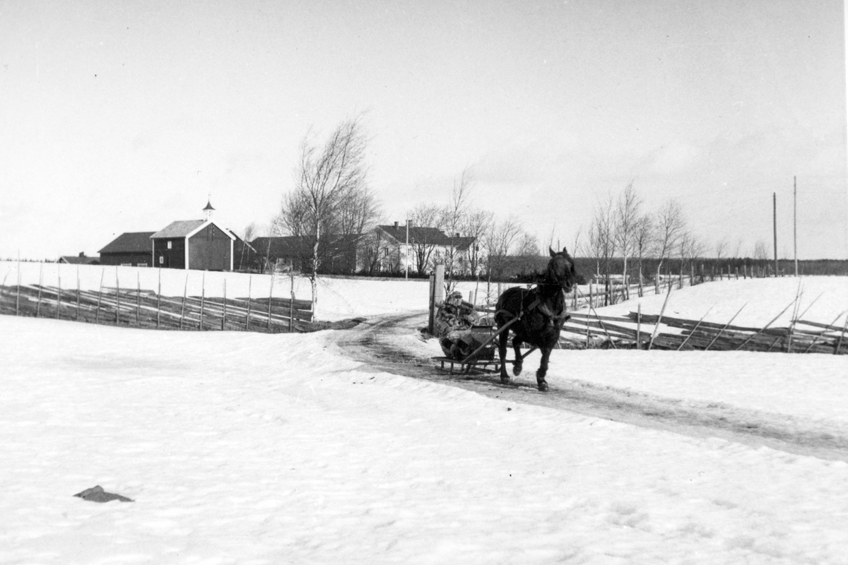 Anno Domkirkeodden, Dyri gard i Løten. Hest og slede på vei ut porten på Dyri. Hestekjøretøy.
