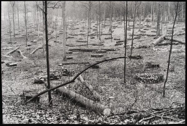 Cartier-Bresson, Henri, Photograph
