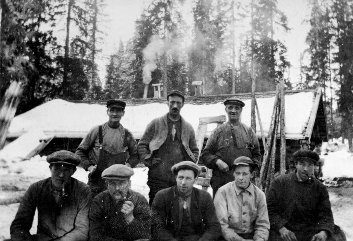 Anno Domkirkeodden, Tømmerhuggere og kjørere i Philske Sameie, Ringsaker.