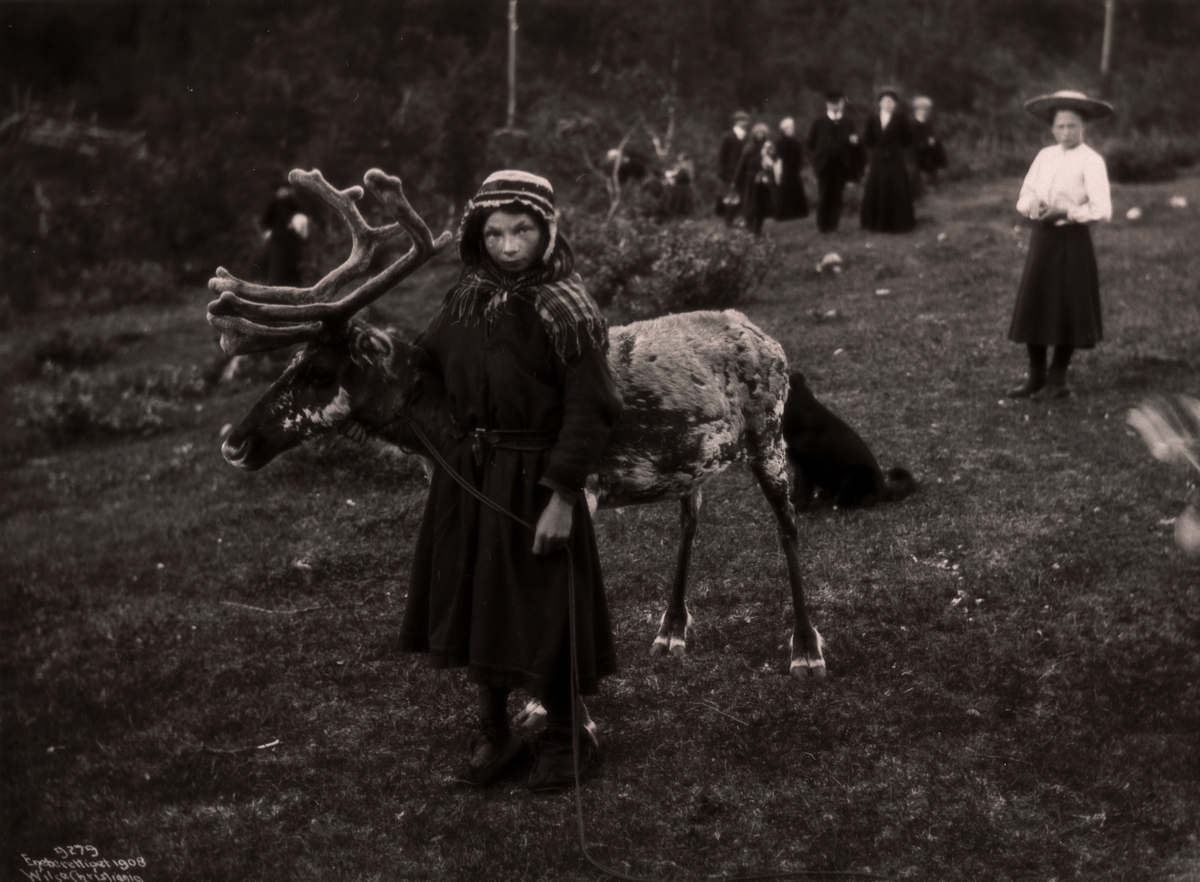 Anders Beer Wilse, Prot: Lappepike med Ren 1908