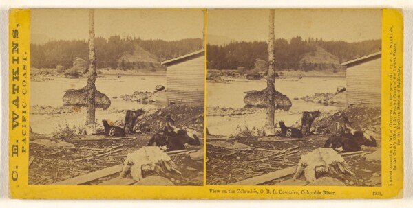 Carleton Watkins, View on the Columbia, O.R.R. Cascades, Columbia River.