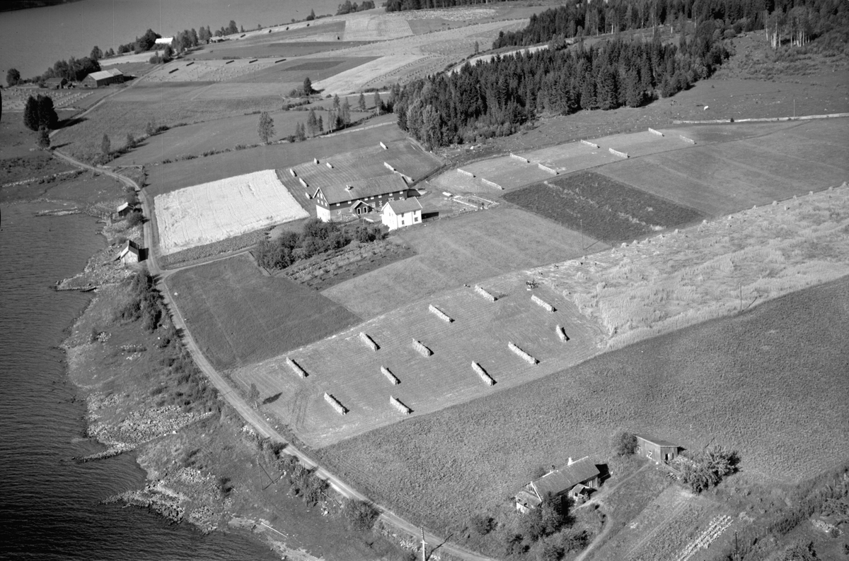 Anno Domkirkeodden, Flyfoto av Viken gard, Gaupen, Ringsaker.