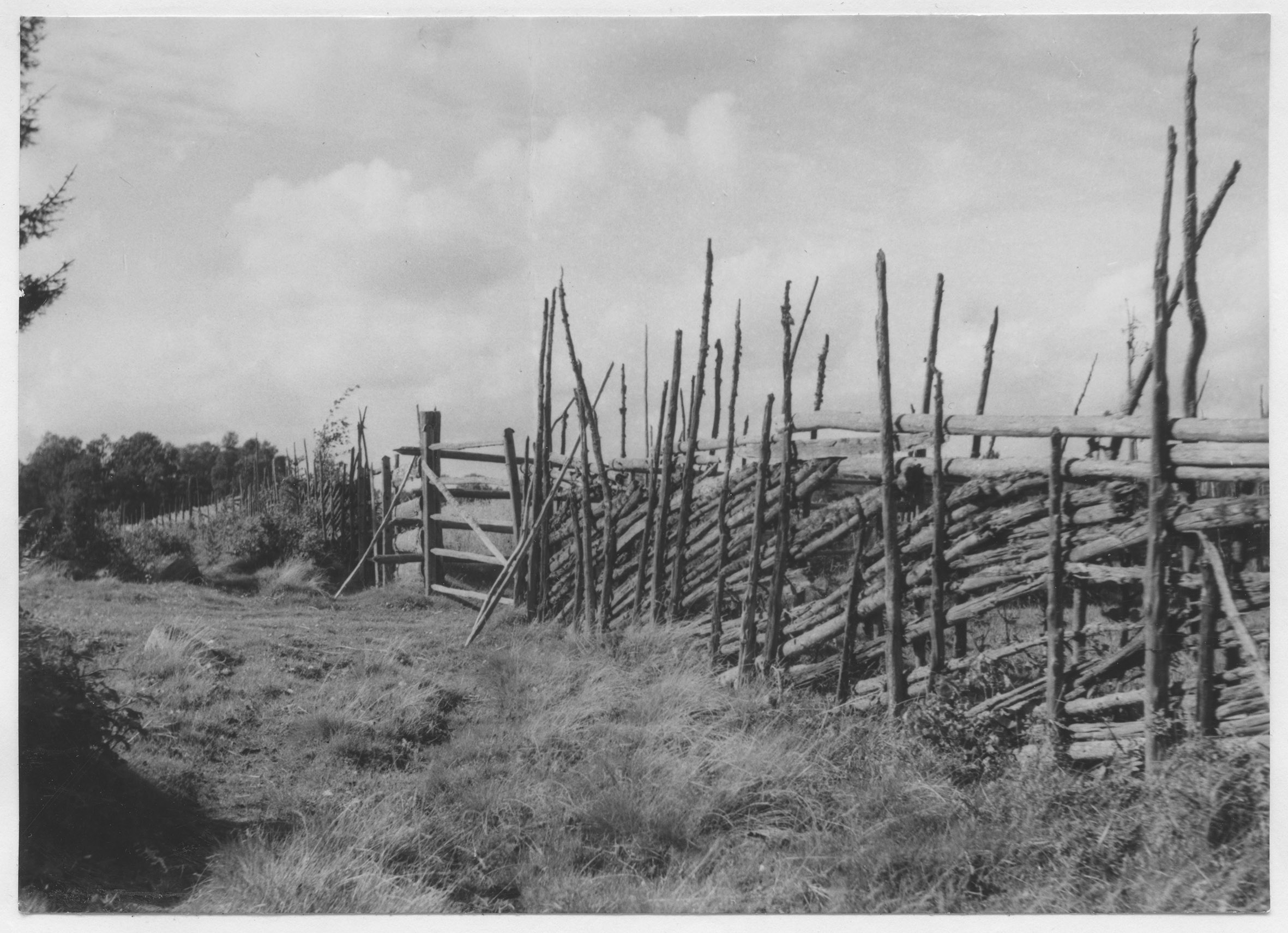 Mårten Sjöbeck, Högsbyn