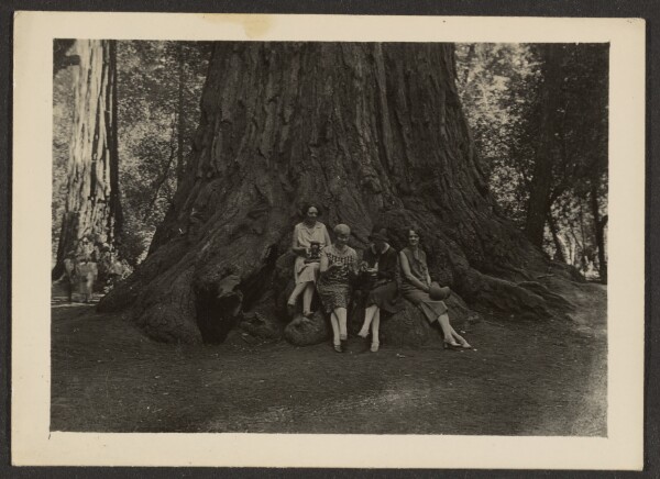 Louis Fleckenstein, [Group Portrait at Base of Tree]
