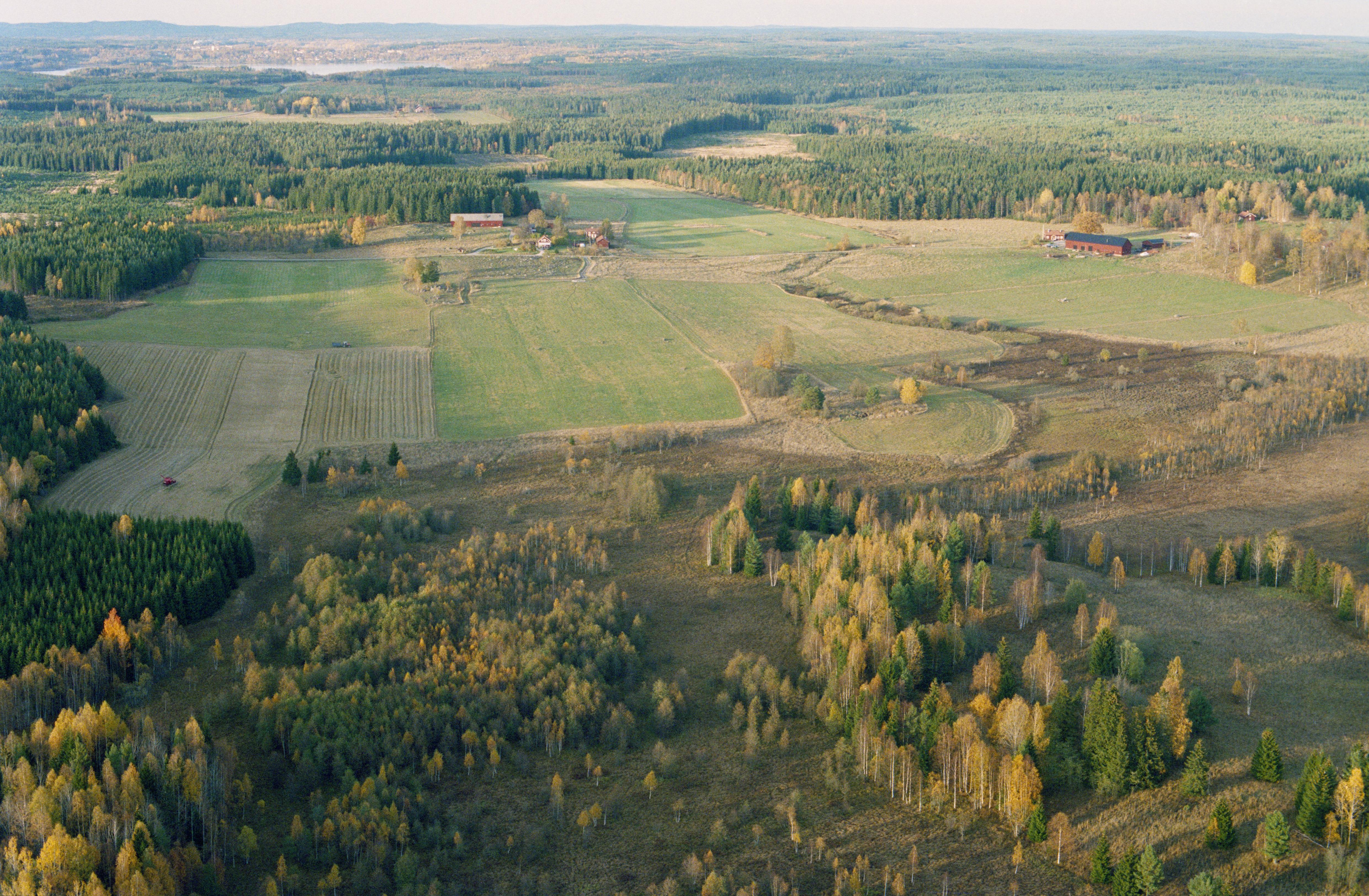 Jan Norrman, Skinnskatteberg 344:1