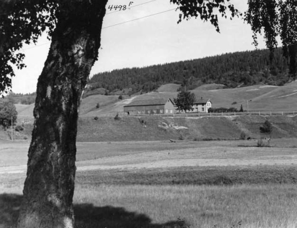 Anders Beer Wilse, Leirfall