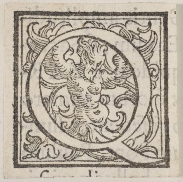 Unknown, Print