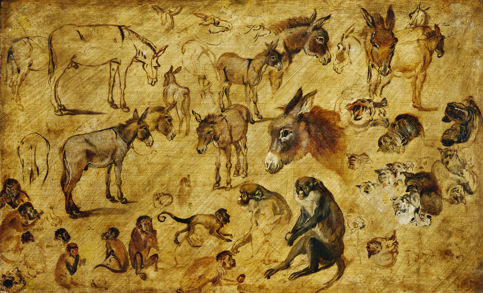 Jan Brueghel the Elder, Studies of Animals (Donkeys, Cats, Monkeys)