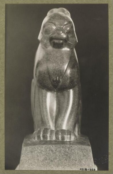 unknown, Photograph