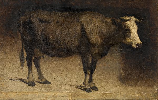 André Plumot, Cow