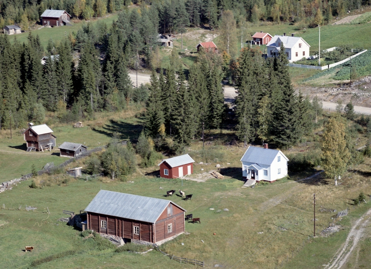 Widerøes Flyveselskap A/S, Bolighus