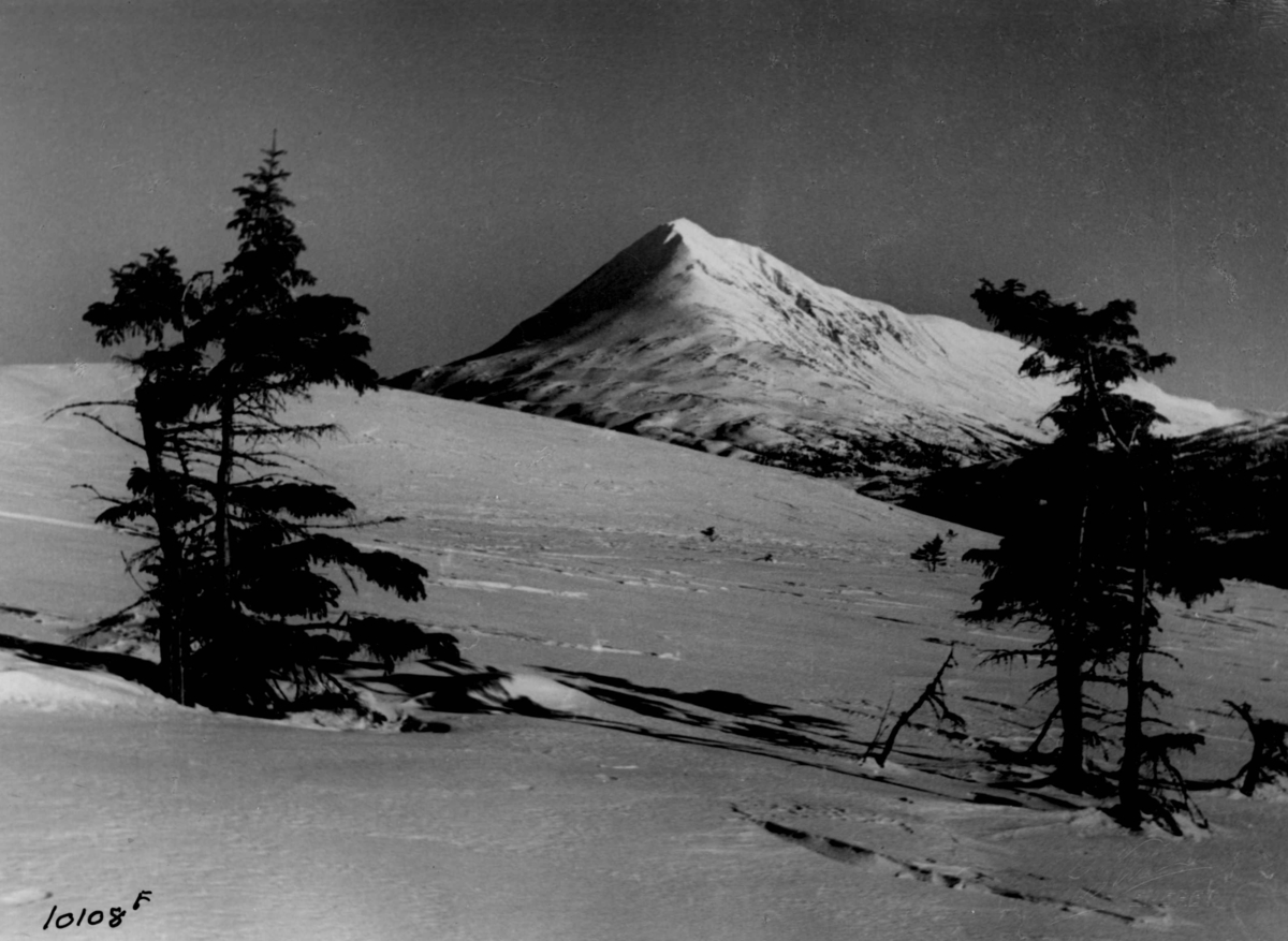 Anders Beer Wilse, Vinterlandskap med Gaustatoppen.