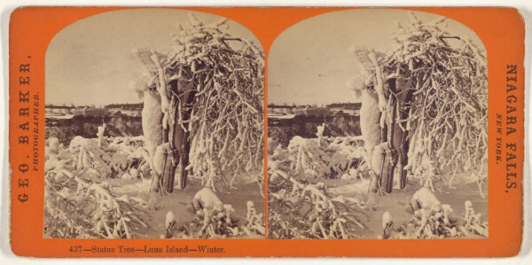 George Barker, Statue Tree - Luna Island - Winter.