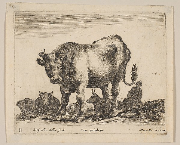 Stefano della Bella, Plate 8: Ox, from "Various animals" (Diversi animali)