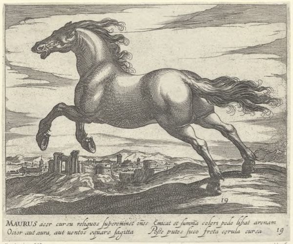 Panderen, Egbert van, (1581-1637?), (printmaker), Horse breeds: Landscape with a horse from Mauritania