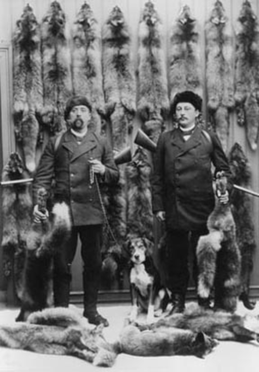Anno Domkirkeodden, 2 jegere med gevær, hund, rev, revskinn. Fra venstre er Nils Lier, Furnes, Mathias Neraasen, Veldre, Ringsaker.