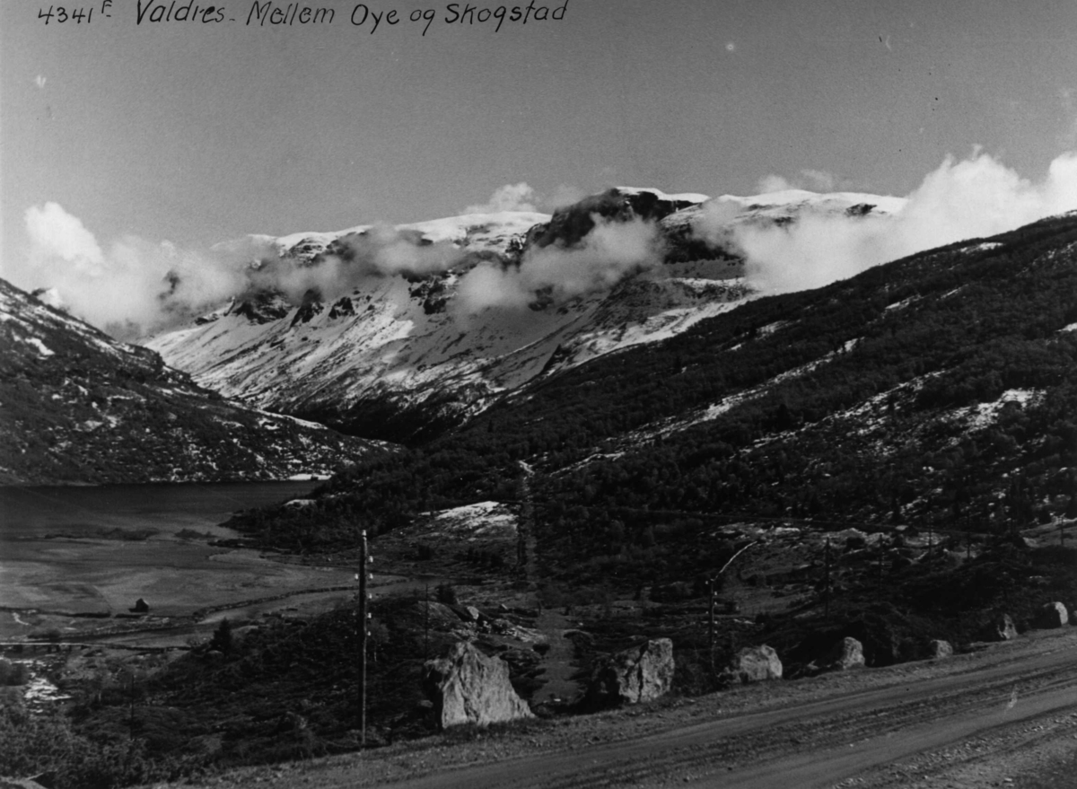 Anders Beer Wilse, Landskap Oye Skogstad