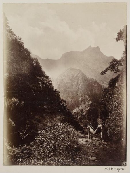 Unknown, Photograph
