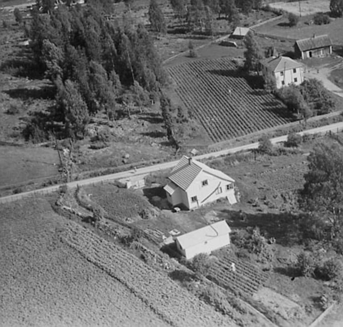 Widerøes Flyveselskap A/S, FLYFOTO HVAL ØVRE SØNDRE, VALLSET
