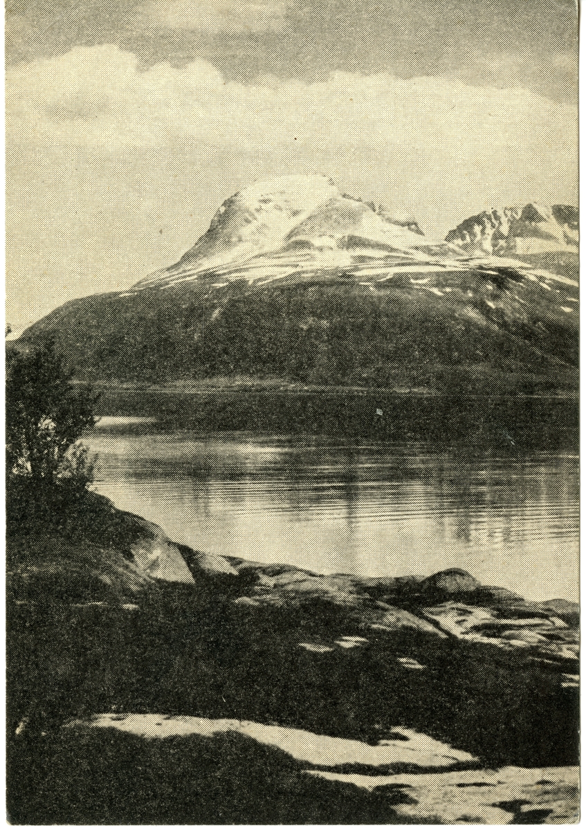 Anders Beer Wilse, Balsfjord - Nordland