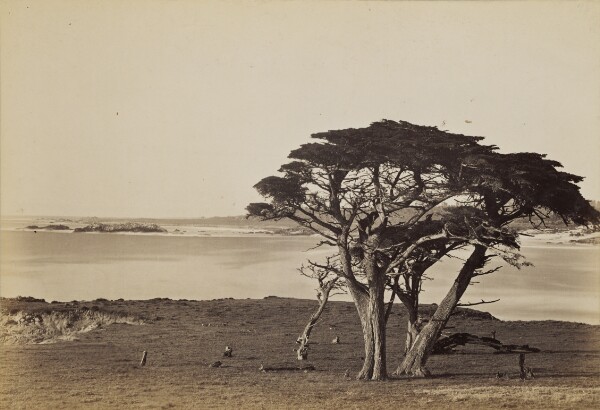 Carleton Watkins, [Coast view near Monterey]